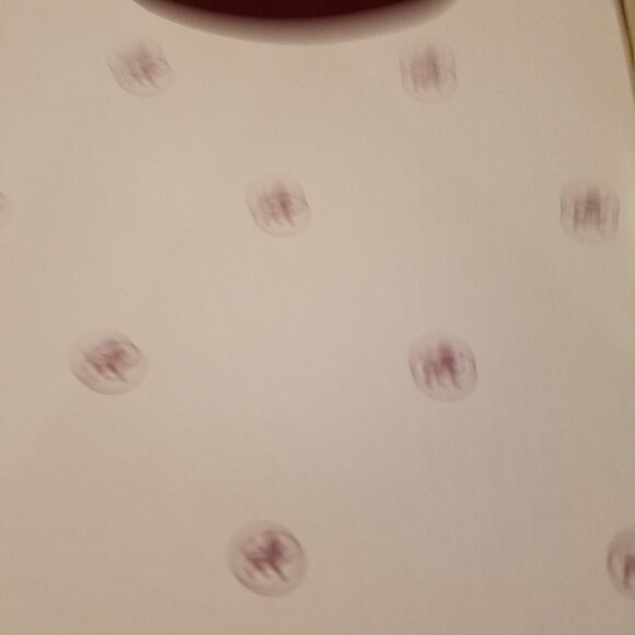 3 poohs from the Ashton-Drake Galleries - Picture 10 of 10